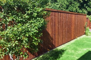 cedar wood fence 6 ft