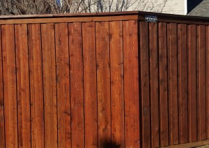 backyard privacy fences wood cedar board on board 8 ft tall overlapping pickets