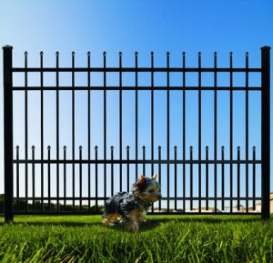 puppy bars puppy panels wrought iron fences Lewisville tx pool fences